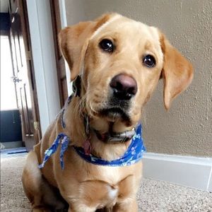 Meet your Posher, Brittney